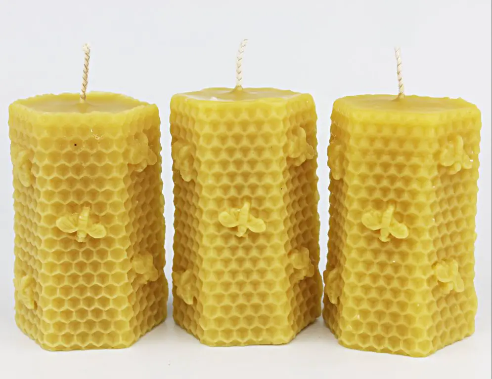 beeswax blocks next to honeycomb on table.