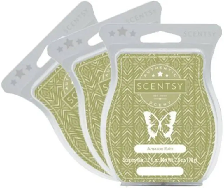 What Wax Does Scentsy Use?