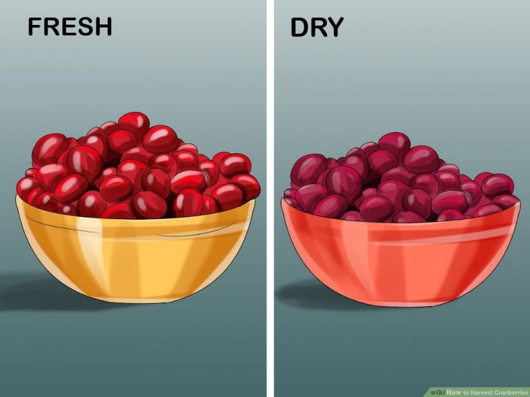 Is Cranberry A Fall Or Winter Scent?