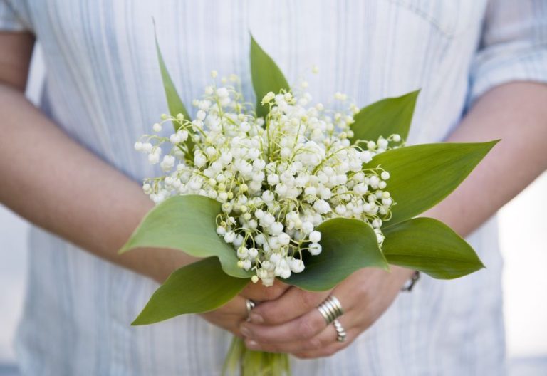 What Does Lily Of The Valley Symbolize?