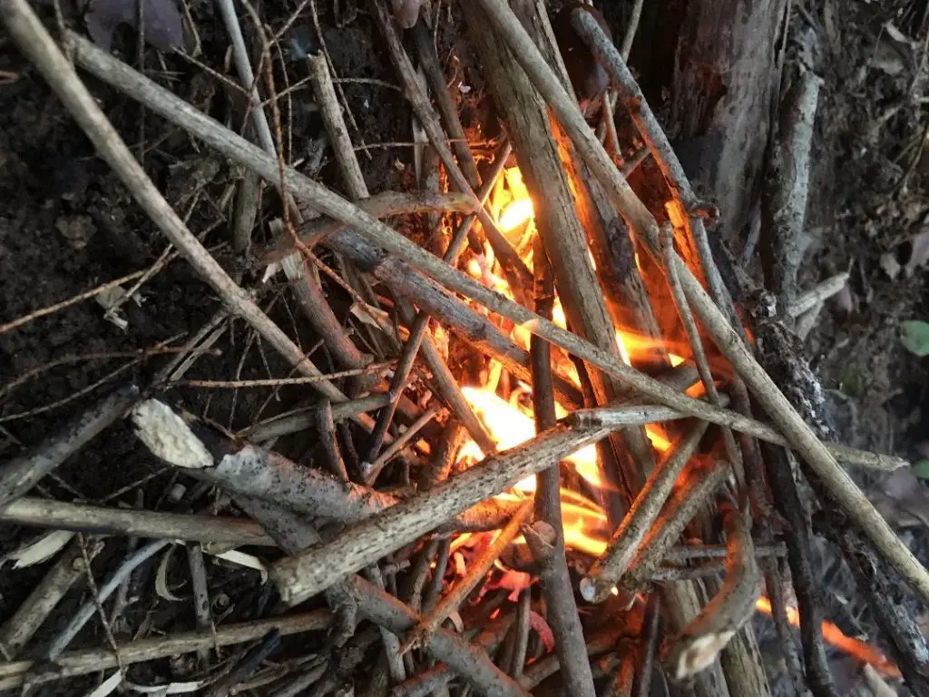 a close up photo shows a small pile of pine wood shavings next to some struck matches and small pieces of kindling on top of a fire starter log.