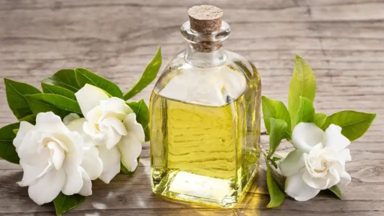 Does Gardenia Essential Oil Exist?