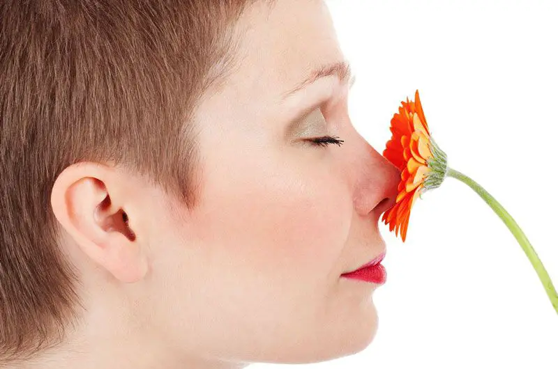 a person smelling a flower, showing the sense of smell in action