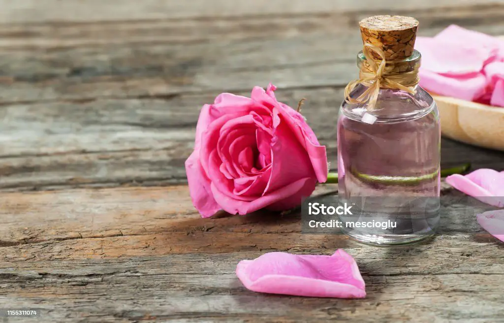 a picture of rose essential oil in a glass bottle with rose petals