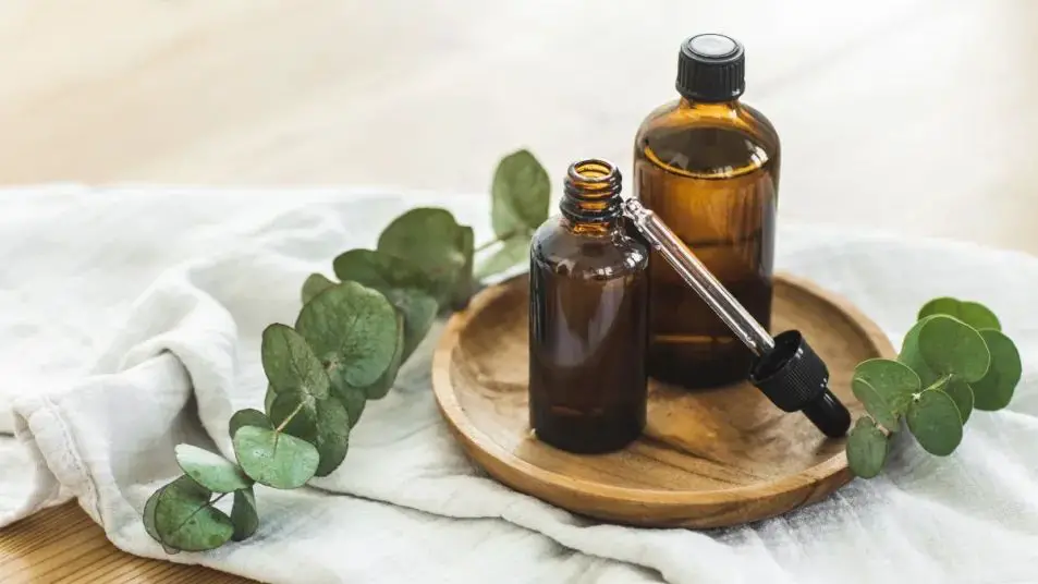 a small bottle filled with eucalyptus essential oil sits next to some eucalyptus leaves.