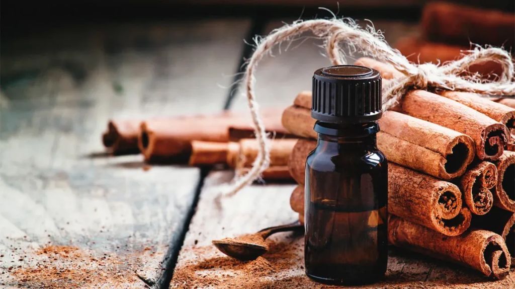 a small bottle filled with reddish-brown cinnamon essential oil, with cinnamon sticks next to it.