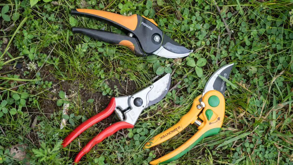 a variety of floral shears and scissors for cutting flower stems