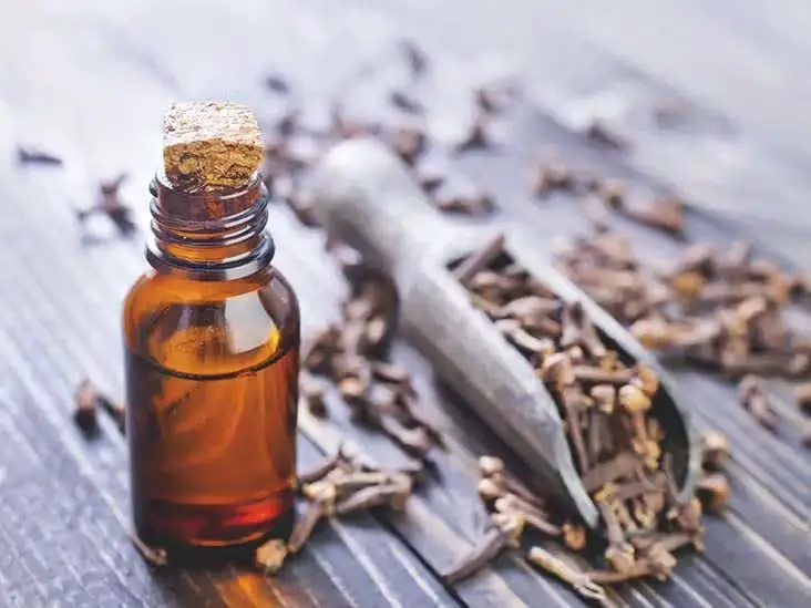 What Not To Mix With Clove Oil?