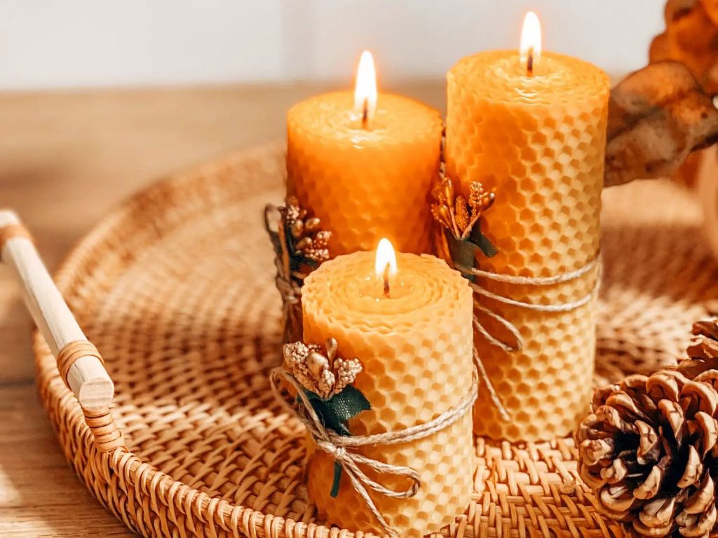beeswax and soy wax candles each have advantages, but soy is often preferred for its lower cost and vegan nature.