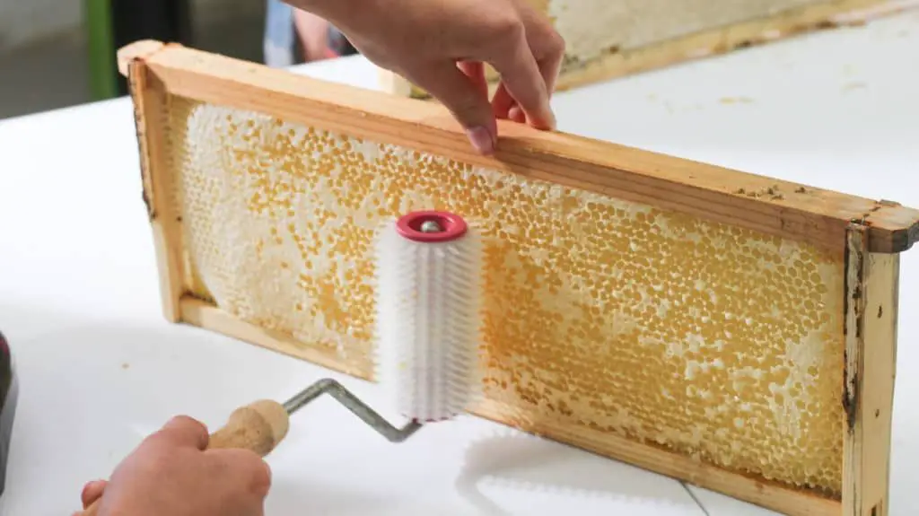 beeswax being harvested from a honeycomb frame