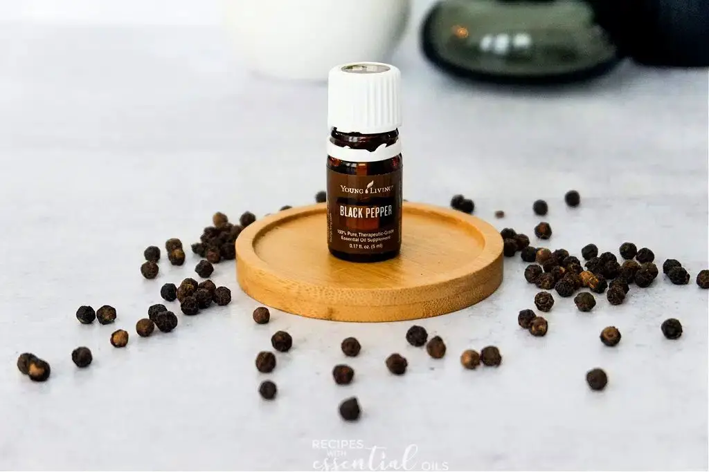 black peppercorns being steam distilled into an essential oil.