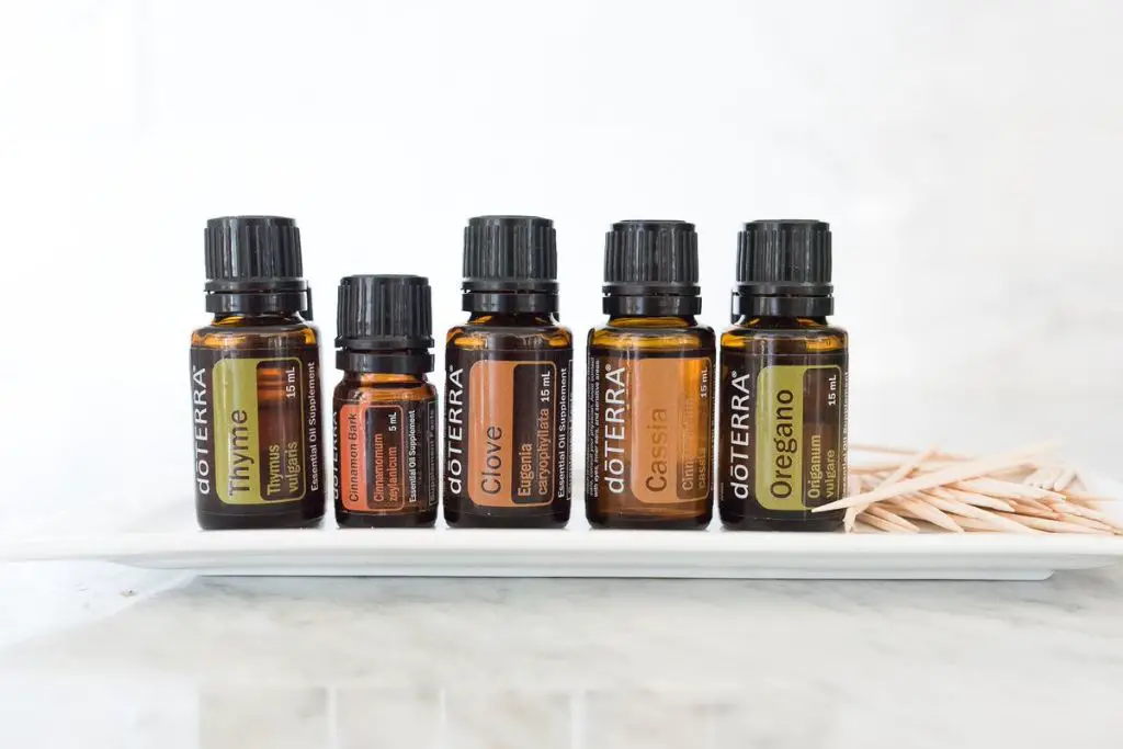 bottles of oregano, cinnamon, clove, and thyme essential oils