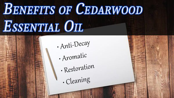 Is Cedar Oil And Cedar Wood Oil The Same?