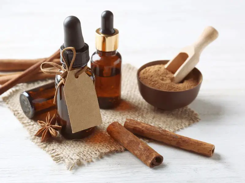 cinnamon oil mixes well with carrier oils like jojoba oil to create soothing skin care treatments.