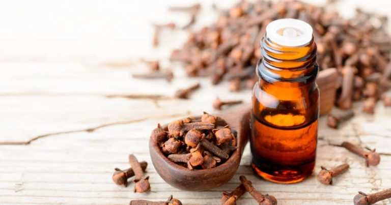 What Is The Odour And Taste Of Clove?
