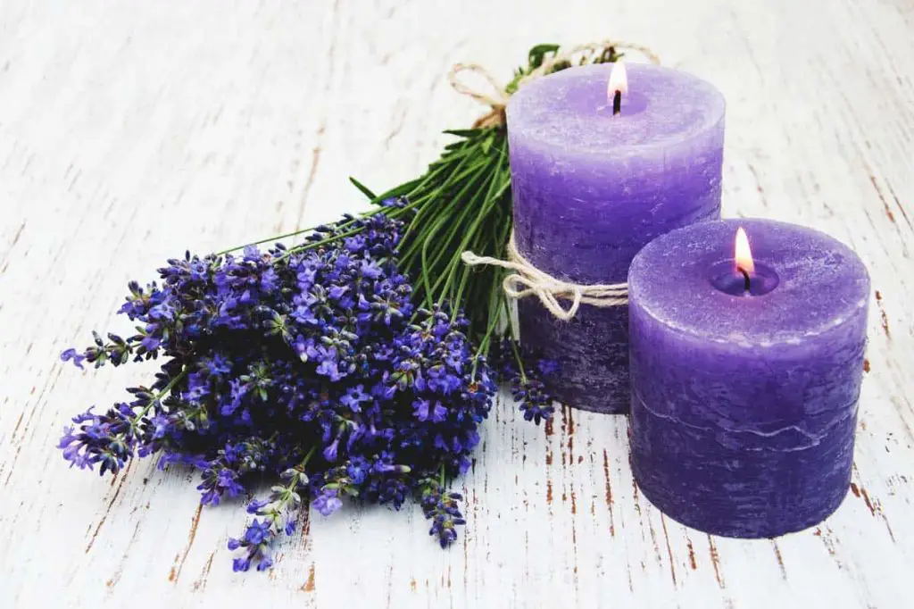 dried herbs and spices like cinnamon, rosemary, and lavender can add natural fragrance to candles