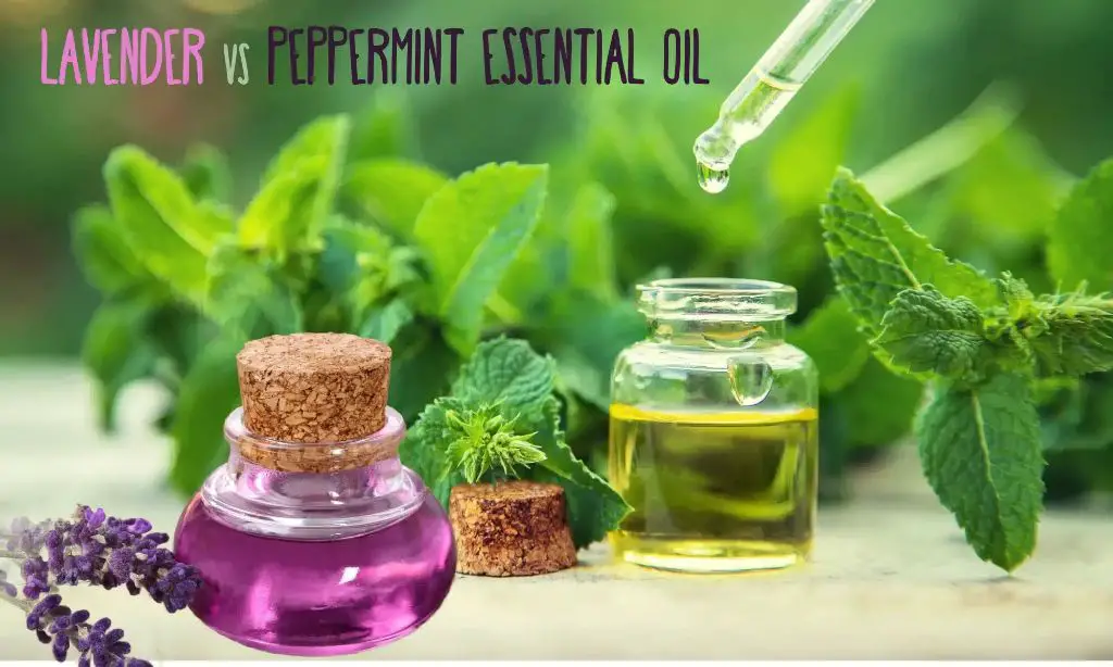 essential oils like lavender and peppermint may help reduce stress and ease headaches when used properly.