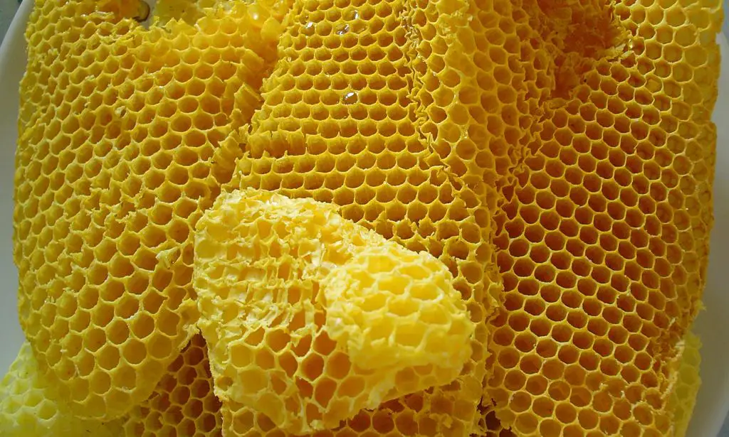 honeycomb full of beeswax