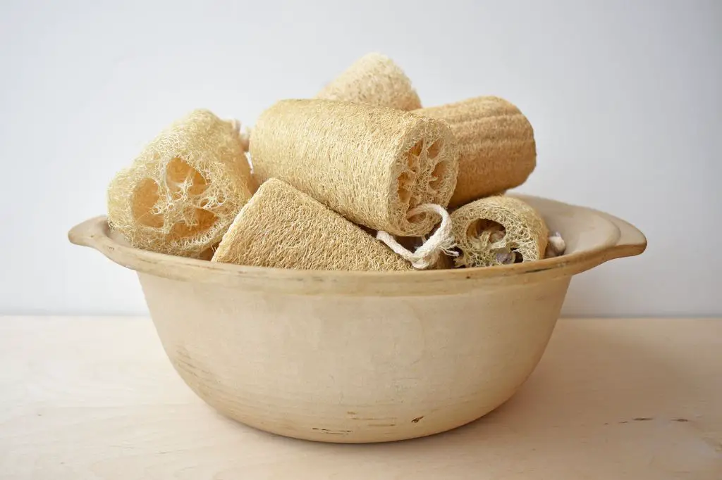 it's important to allow loofah sponges to completely dry between uses to prevent bacterial growth.