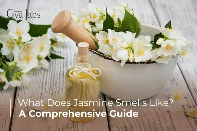 What Is The Most Attractive Smell In Perfume?