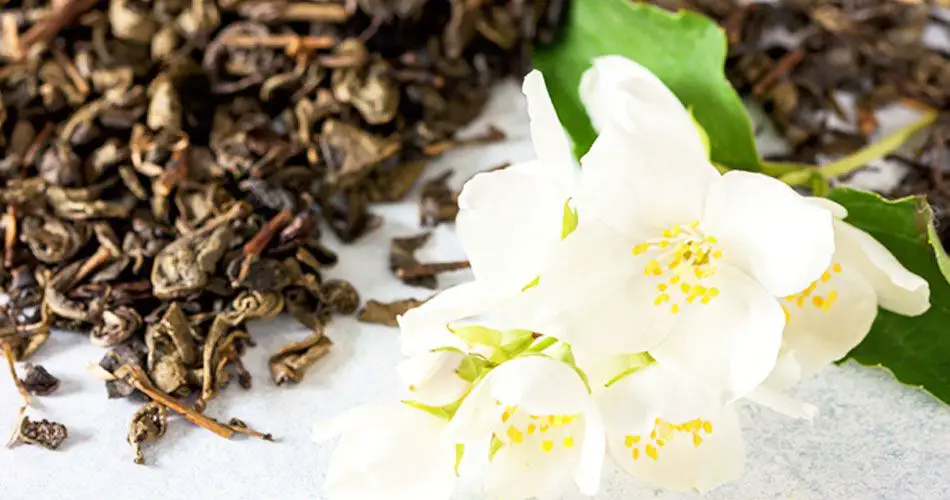 jasmine flowers releasing fragrance into tea