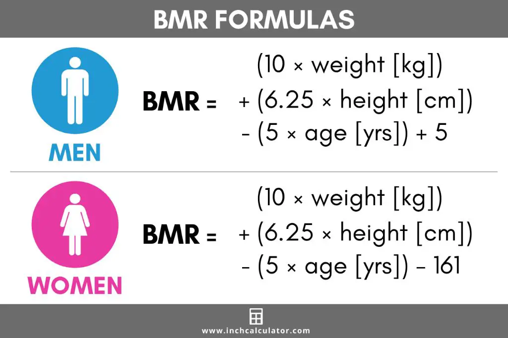 online calculator to determine basal metabolic rate