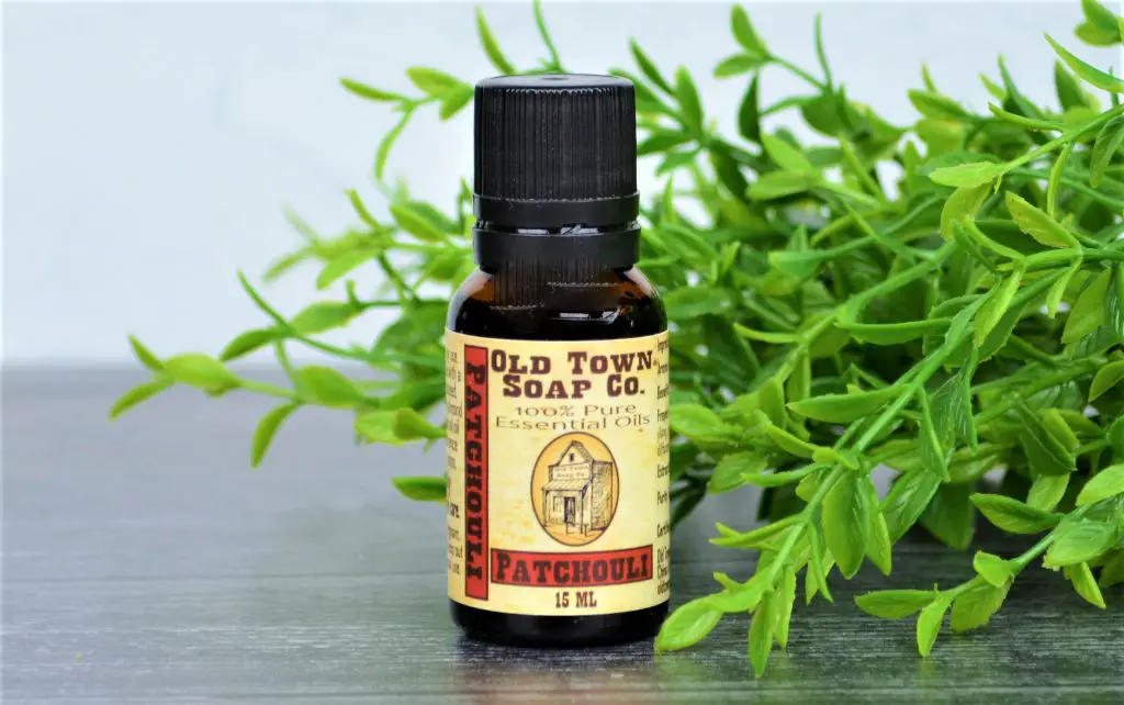 patchouli plant, source of popular earthy scented essential oil