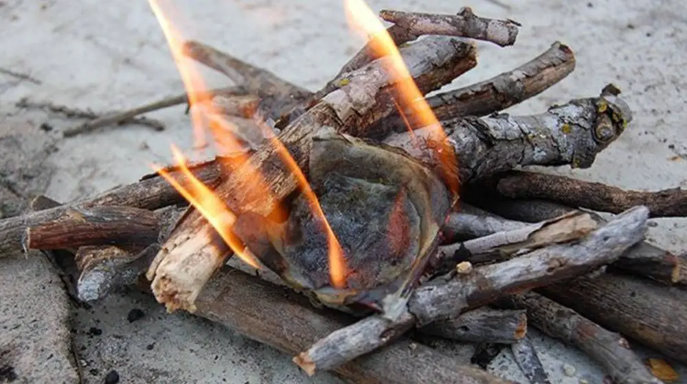 person lighting an egg carton fire starter to start a campfire