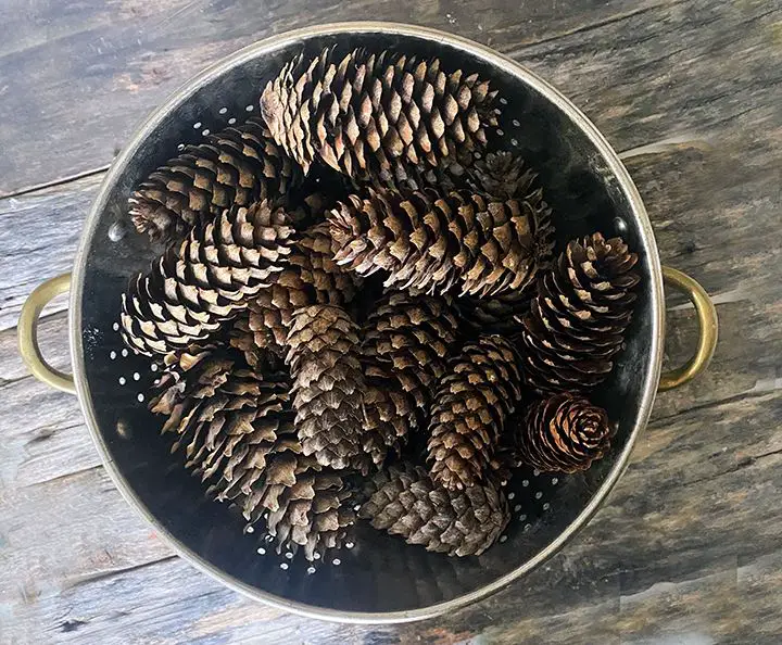 What Are Cinnamon Scented Pine Cones For?