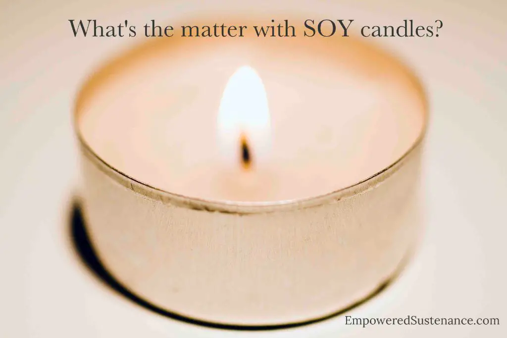 price tags showing beeswax candles are more expensive than soy candles