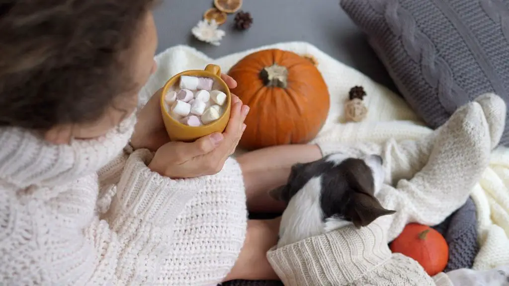 pumpkin spice aroma triggers nostalgia and cozy feelings