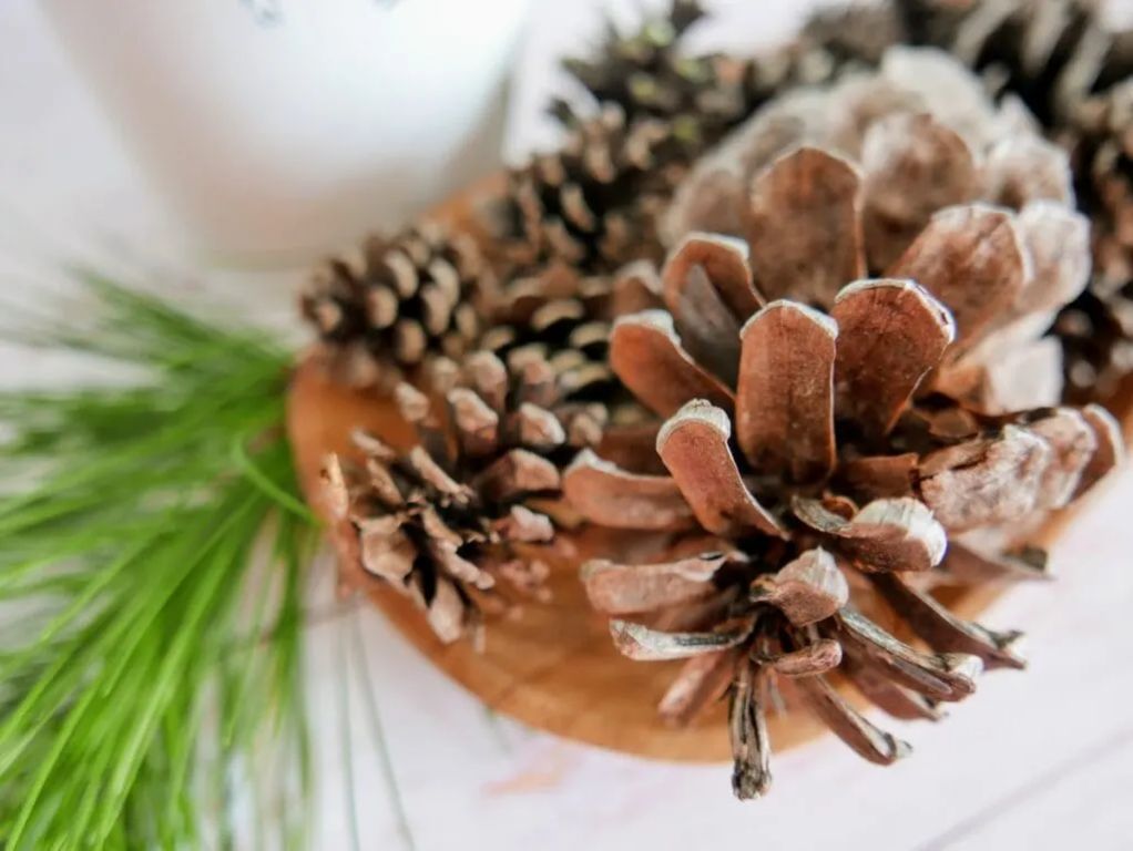 someone adding essential oil drops onto pine cones before burning them