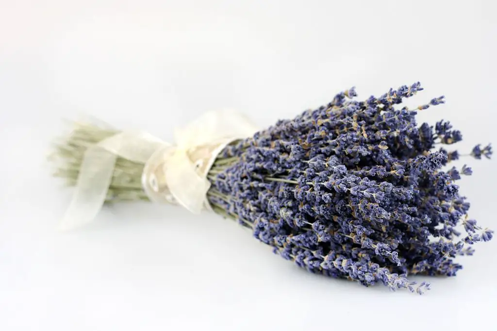 someone holding a lit bundle of dried lavender and sage.