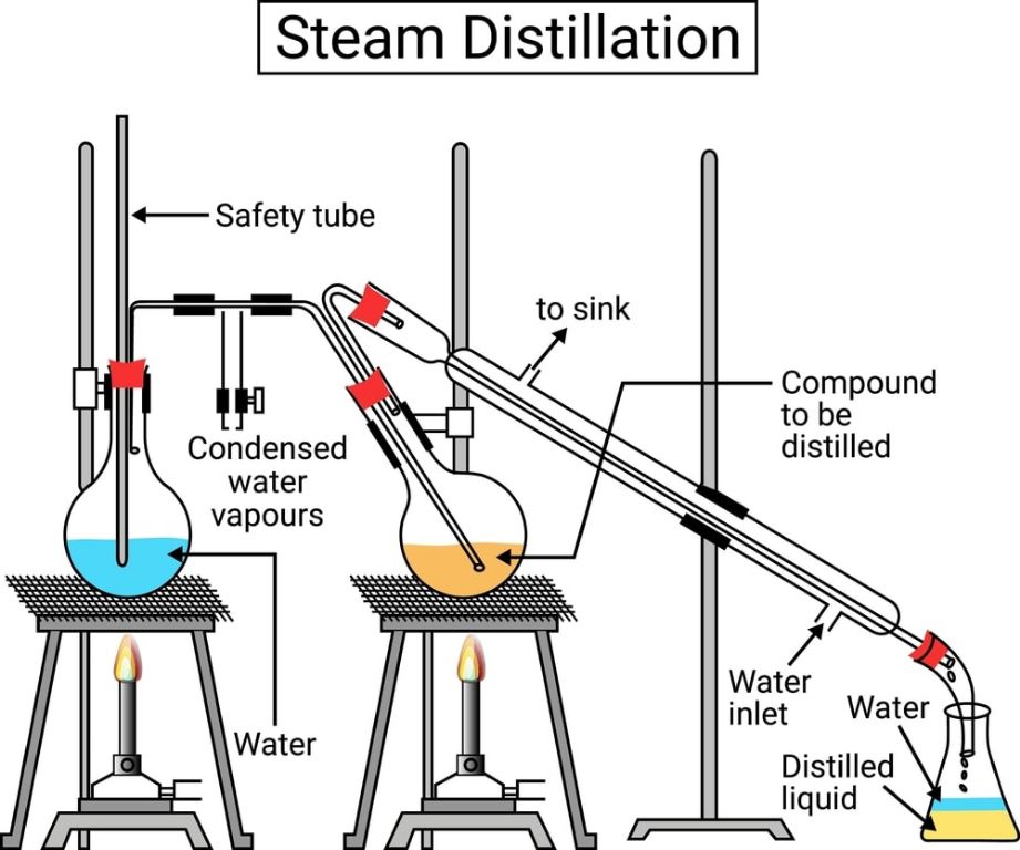 steam distillation equipment used to extract eucalyptus oil