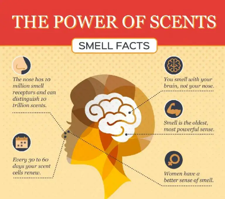 Does Vanilla Scent Attract Guys?