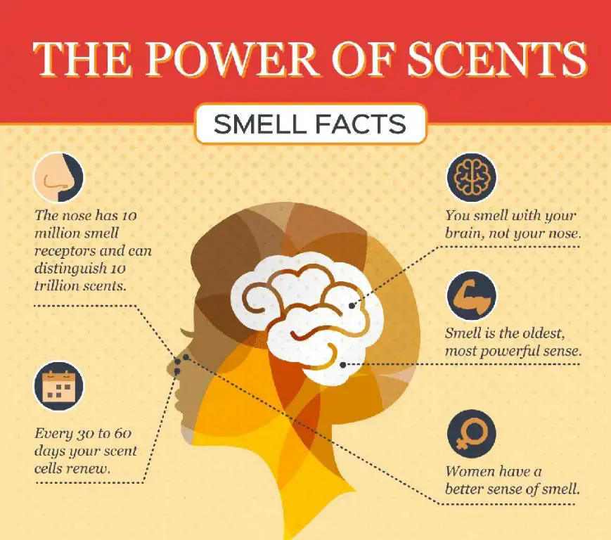 studies show that the scent of vanilla can increase physiological arousal and positive emotions, which suggests it may have an aphrodisiac effect.