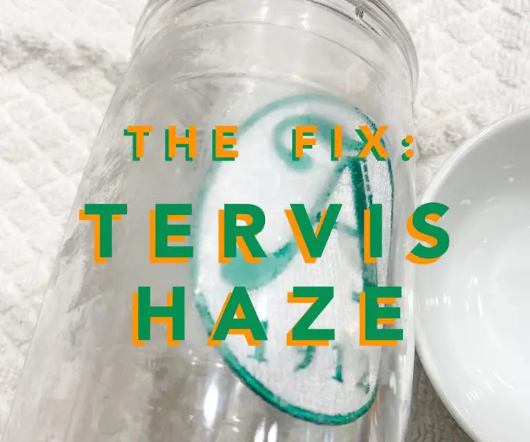 Is Tervis Dishwasher Safe?