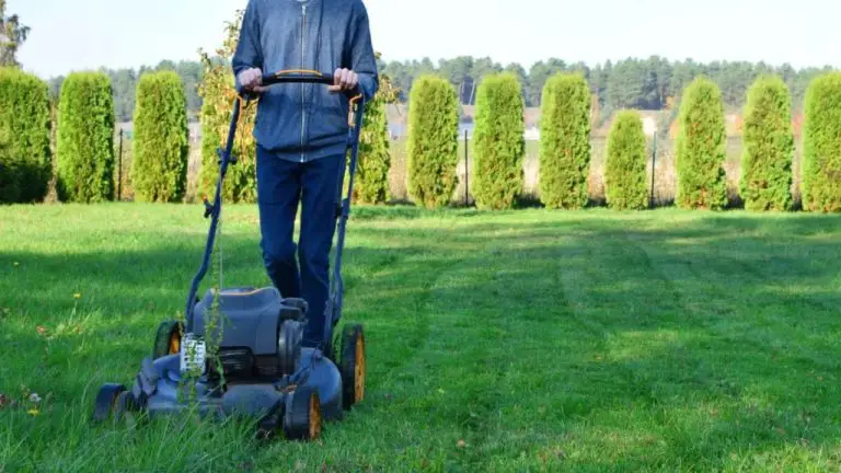 Why Does Freshly Cut Grass Smell Good?