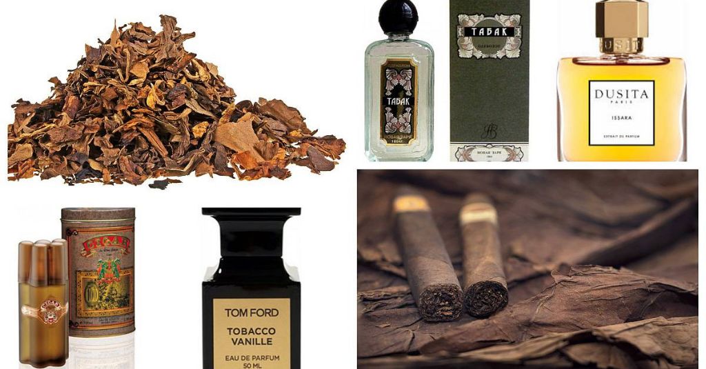 tobacco notes first appeared in perfumes in the late 19th century