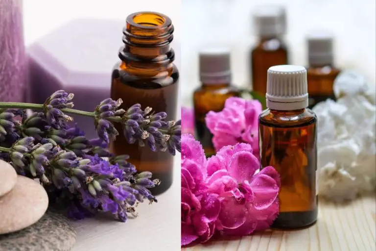 Are Essential Oils Or Fragrance Oils Better For Candles?