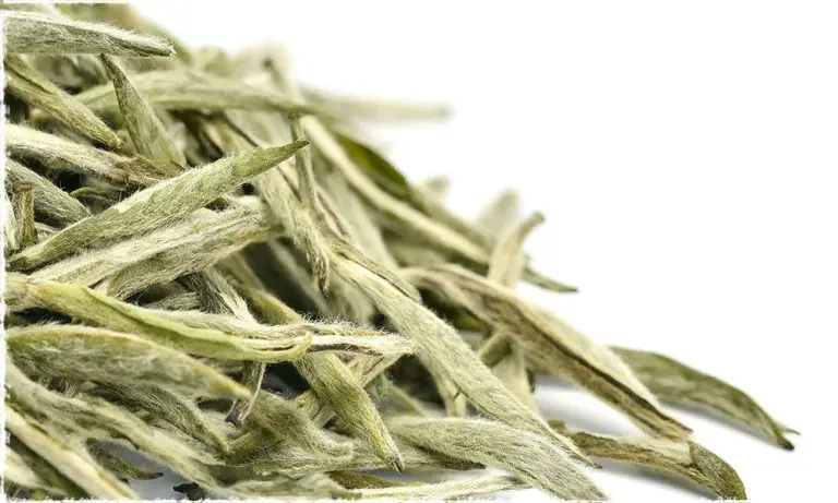 Is White Tea Essential Oil Safe For Kids?