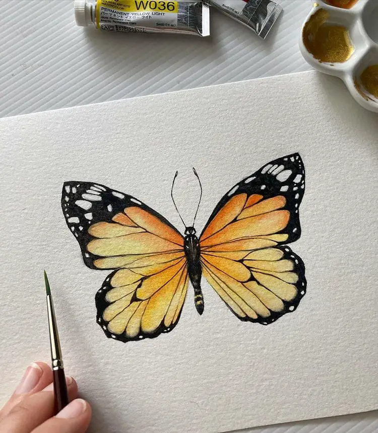 Beautiful Watercolor Butterfly Painting Ideas