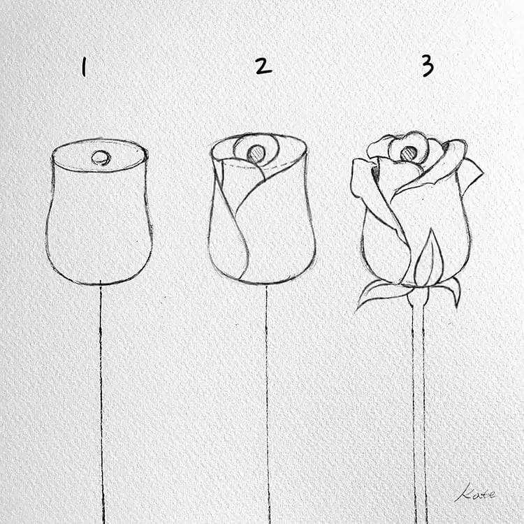 How To Draw Roses (Easy Ideas And Tutorials)