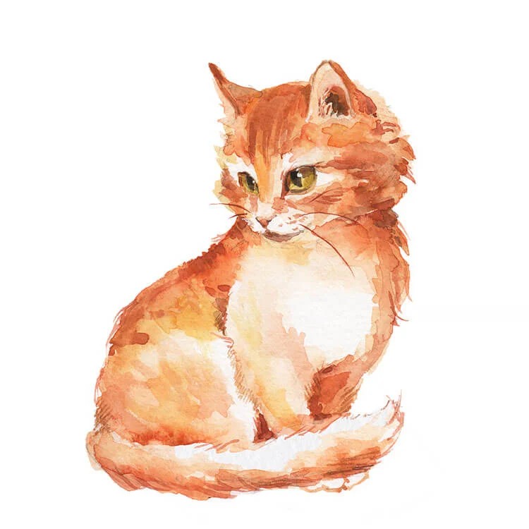 Watercolor Cat Painting Ideas