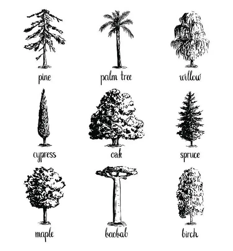 Tree Drawing Ideas To Spark Your Creativity