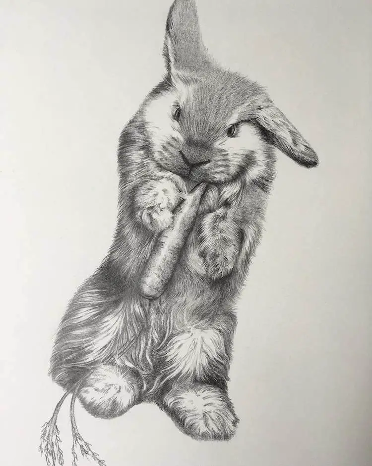 Fantastic Rabbit Drawing Ideas