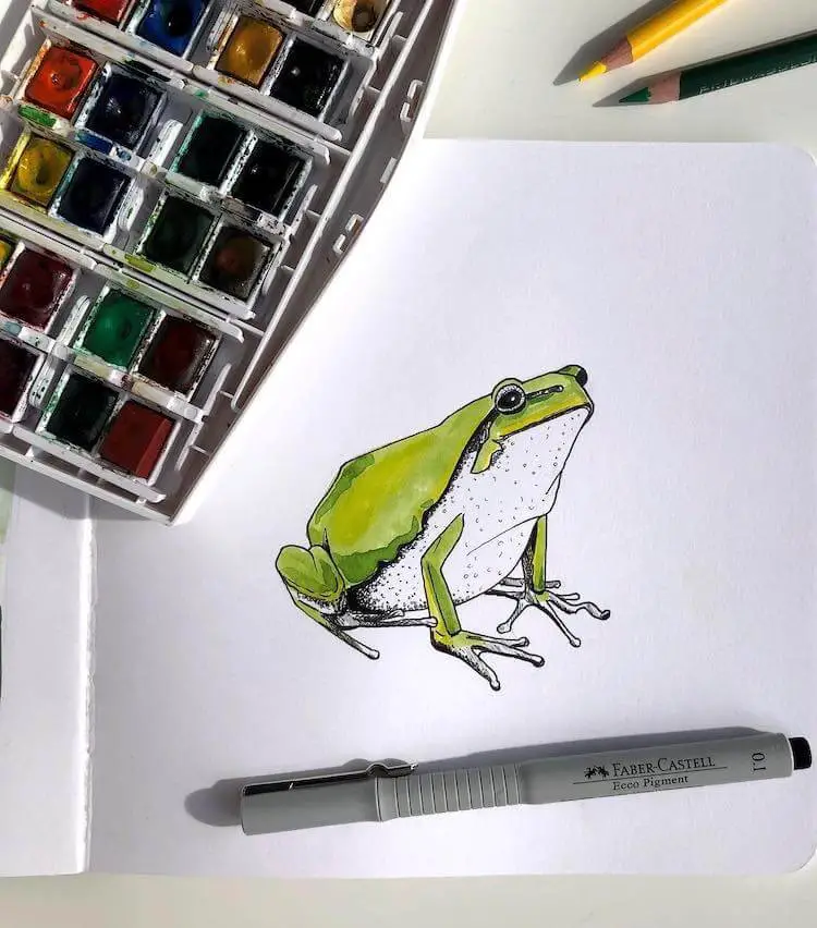 Amazing Frog Drawing Ideas