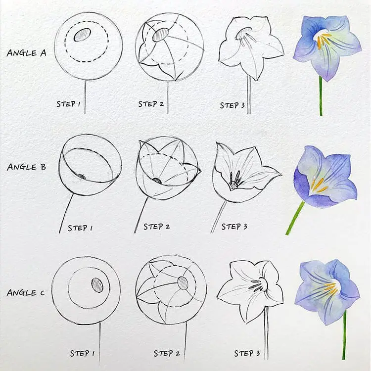 Easy How To Draw Flowers Step-By-Step Tutorials