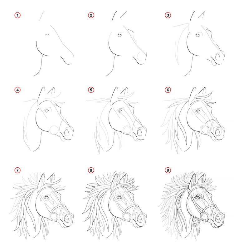 How To Draw Animals Step-By-Step Tutorials