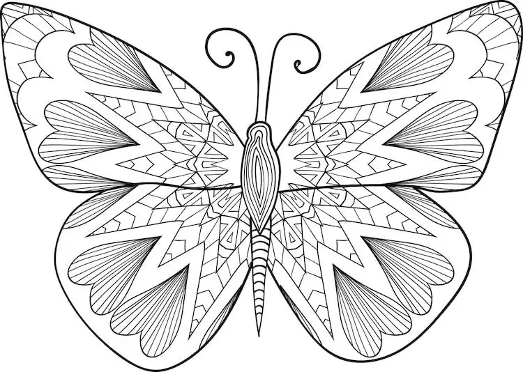Wonderful Butterfly Drawing Ideas